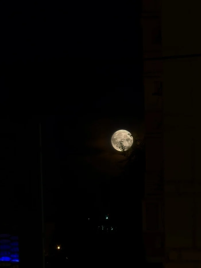 My hobbies - My, Mobile photography, Hobby, moon, No rating, Longpost