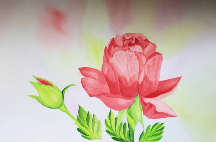 Rose (training drawing) - My, Drawing, Flowers, Plants, Watercolor, Traditional art