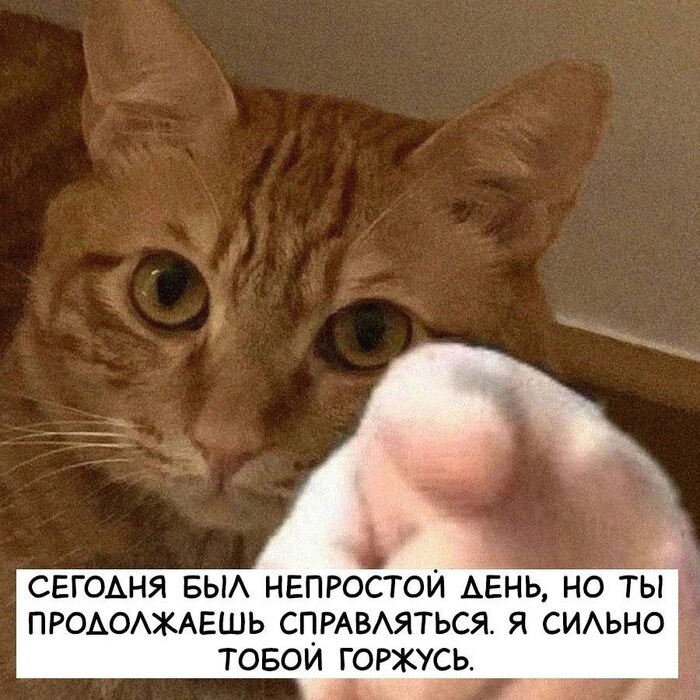 1721668408198087833.jpg