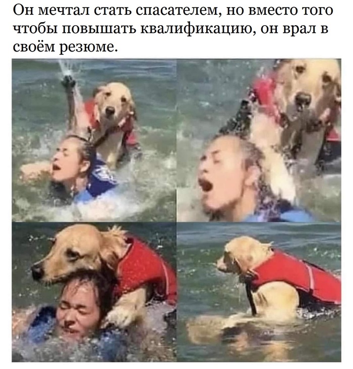 -   , , , ,  