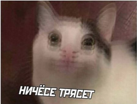 К такому не привыкнешь...