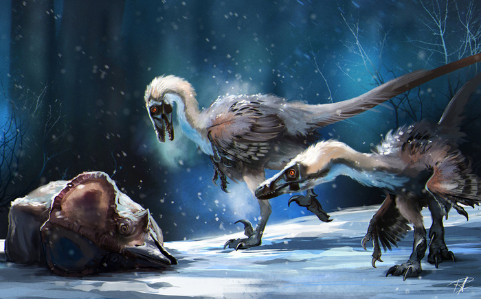 Каррр? Каррртинка из интернетов.