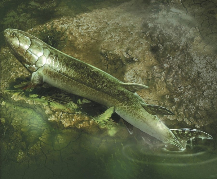 Каррртинка из интернетов.