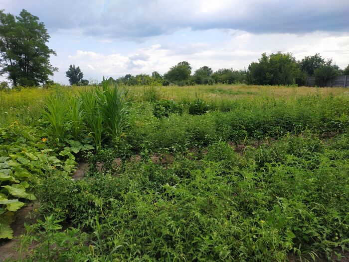 ��������� � ��������.