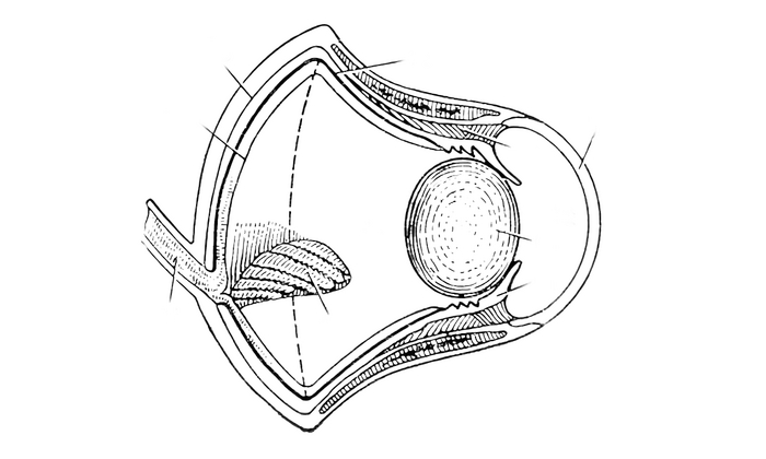 Глаз орла, смотреть вправо.