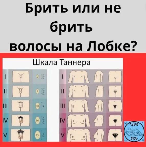 Брить или не брить волосы на Лобке? - Моё, Женщины, Желание, Оргазм, Секс, Волосы, Волосы на лобке, Длинные волосы, Страсть, Медитация, Пенис, Половые губы, Стрижка, Сексология, Фетишизм, Мужчины, Либидо, Размер, Волосатость, Тантра, Тело, Длиннопост