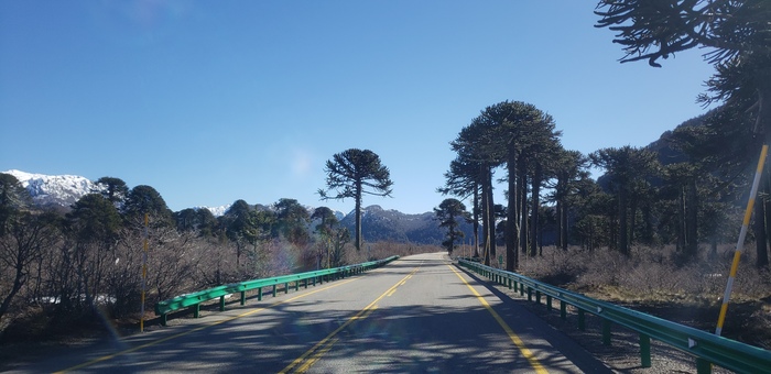 ��������� �� ������ �������� ������� ������. ����.