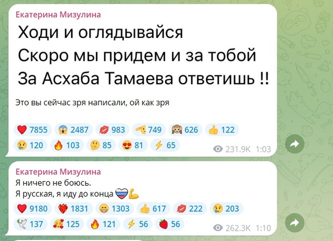 “Walk and Look Back”: Ekaterina Mizulina is threatened with murder for exposing blogger from Chechnya Tamaev - Ekaterina Mizulina, Politics, Casino, Askhab Tamayev, Chechnya, news, Video, Vertical video, Telegram (link), Longpost, Negative