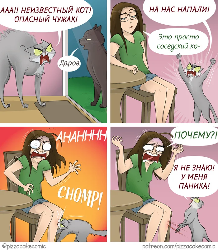 Опасность - Моё, Комиксы, Перевел сам, Кот, Опасность, Pizzacakecomic