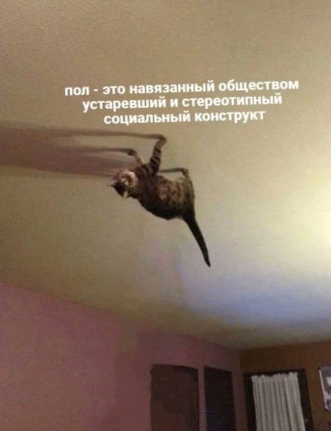 ���������� ���������