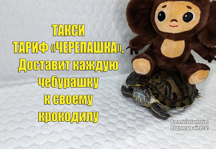   , , , , ,   (),   , 