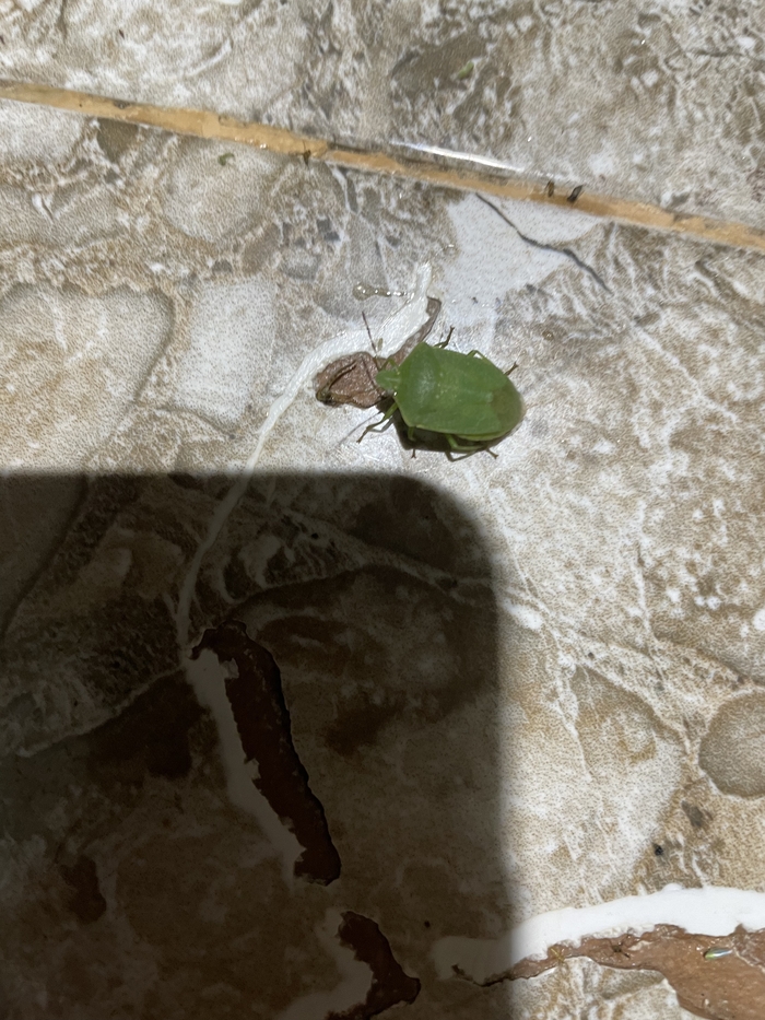 ��� ��� �� ���������?