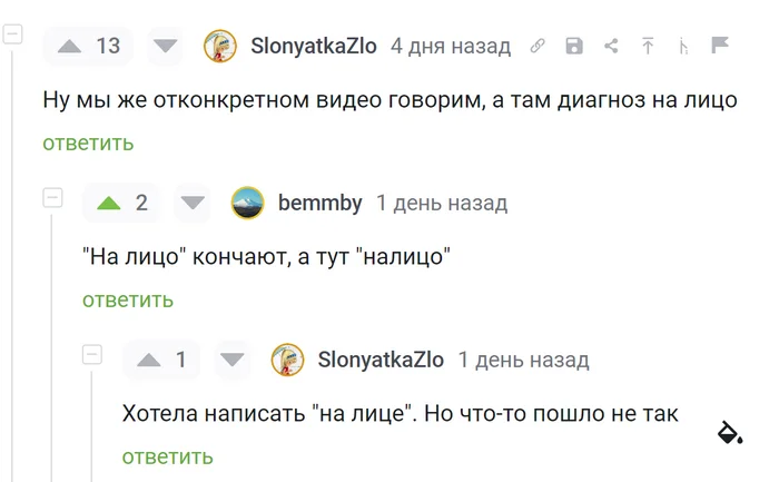 Это вам не тся- ться - Скриншот, Комментарии на Пикабу, Тся и ться, Правила