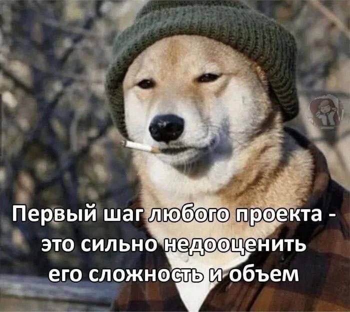 Hard - Picture with text, Shiba Inu, Dog, Sad humor, Project