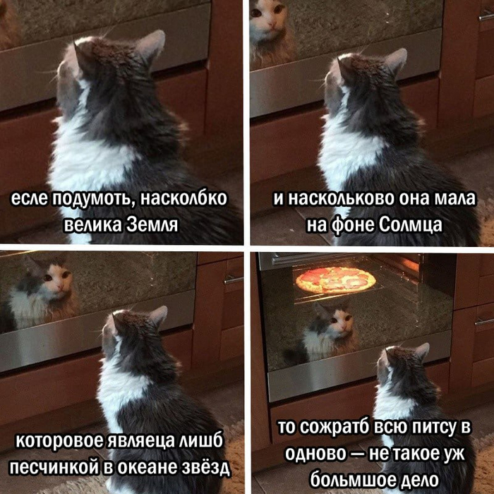   ,   