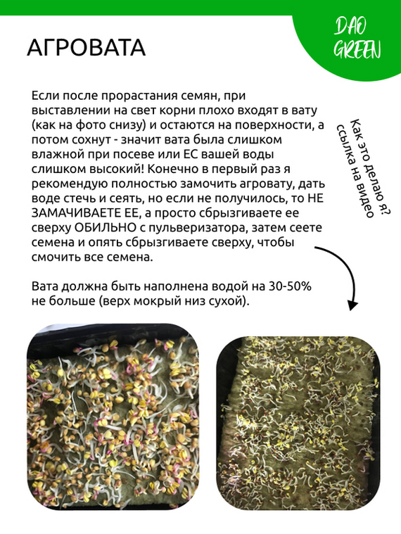 Sowing microgreens and baby greens in different substrates. How to sow microgreens in coconut, jute, soil and agrovet - Business, Microgreens, Business in Russian, Small business, Spices, Vertical Truss, Personal experience, Entrepreneurship, Telegram (link), Longpost