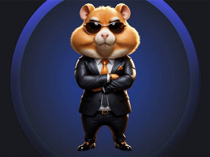        -  , , -, , Hamster Kombat, -, 