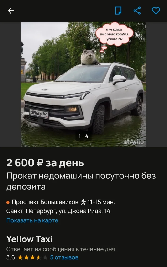 Well, Muscovites don’t like St. Petersburg - Car rent, Moskvich, Avito, Longpost, Humor, Screenshot