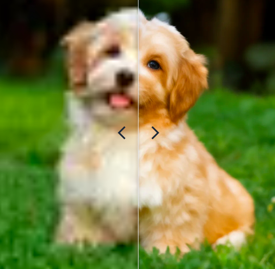     , , , ,  