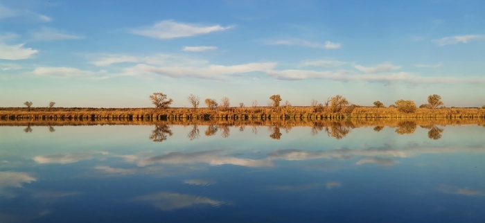 ����� �������� ������ ������