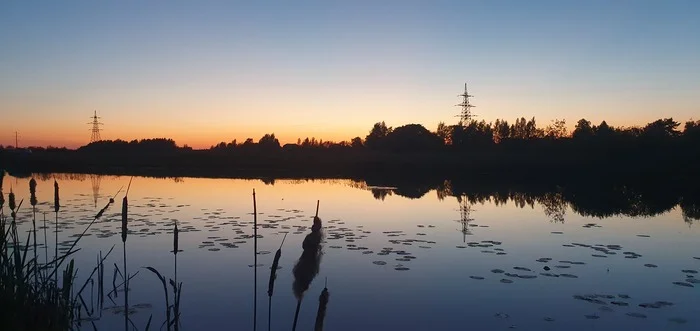 Нашел удачное озеро - Моё, Фотография, Рыба, Карась, Линь, Озеро, Щука, Видео, Природа, Длиннопост