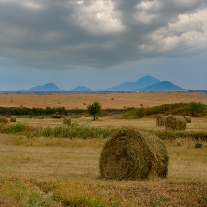 Before the storm - My, The photo, Nature, Caucasian Mineral Waters, Landscape