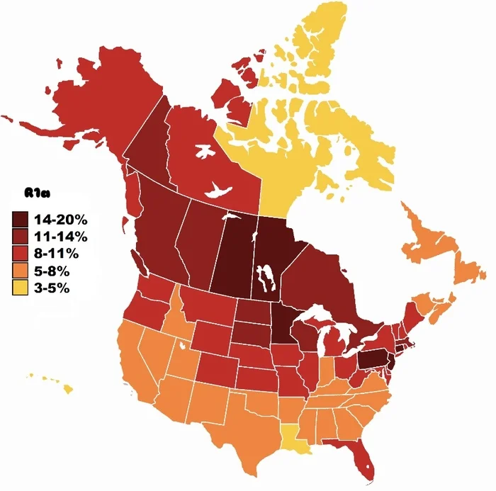 Haplogroup R1a among white Americans of English-speaking America - My, Haplogroup, Indo-Europeans, Peace, USA, Genetics