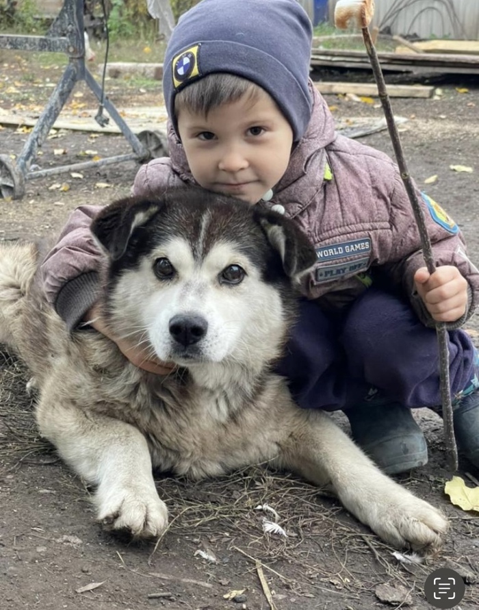 �������� ������ ������ � ���� ���������.