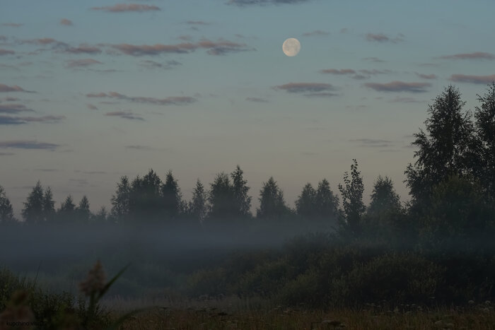 "Такая разная Луна" 23 июля