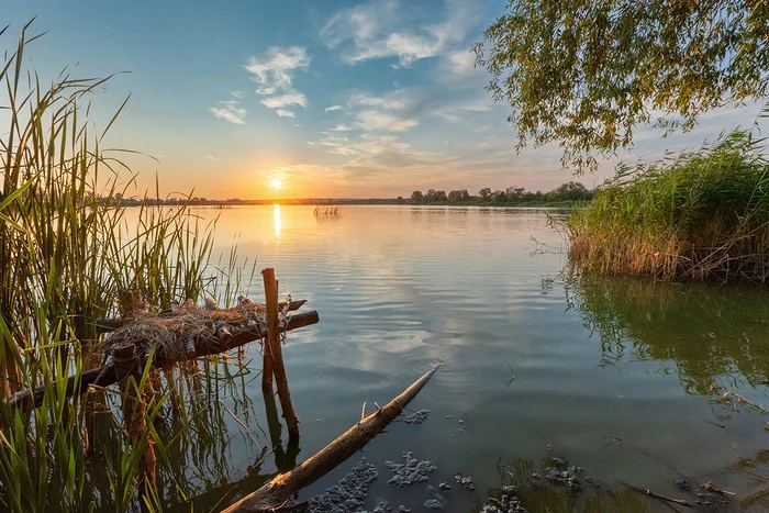 Morning by the pond - My, Sunrise, Morning, Pond, Rostov region, Landscape, The photo