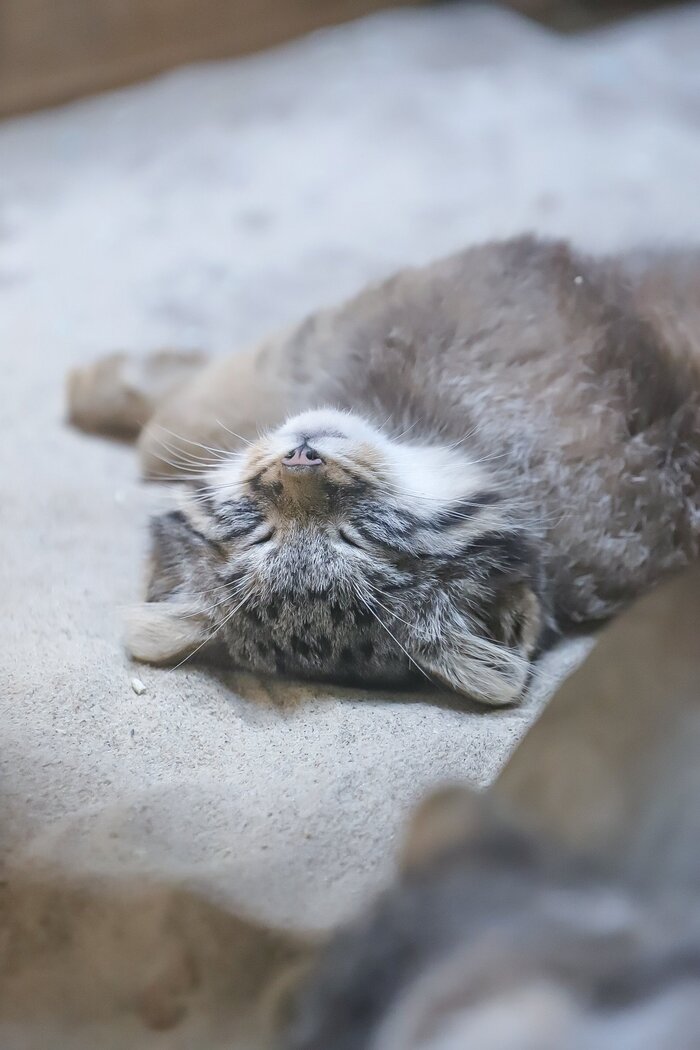 Ещё пять минуточек...