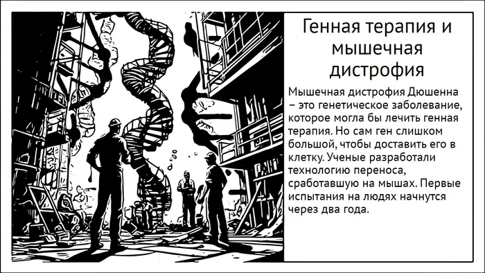 Мышечная дистрофия Дюшенна. Разработка протокола генной терапии для людей - Моё, Исследования, Наука, Научпоп, Генная терапия, Гены, Биотехнологии, Регенеративная медицина