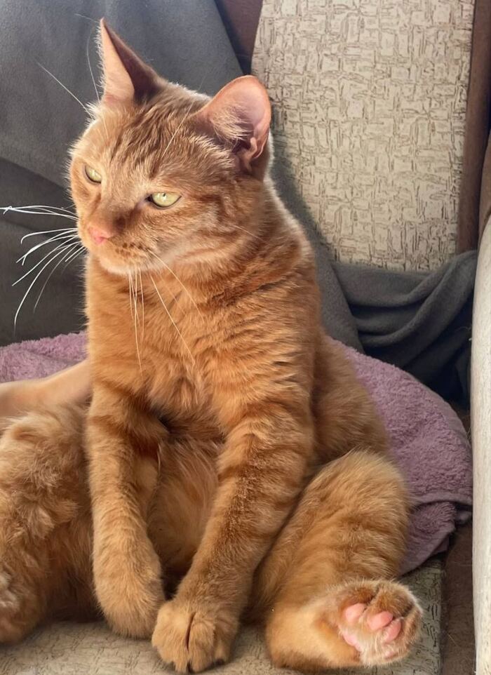    ... ,  , , 