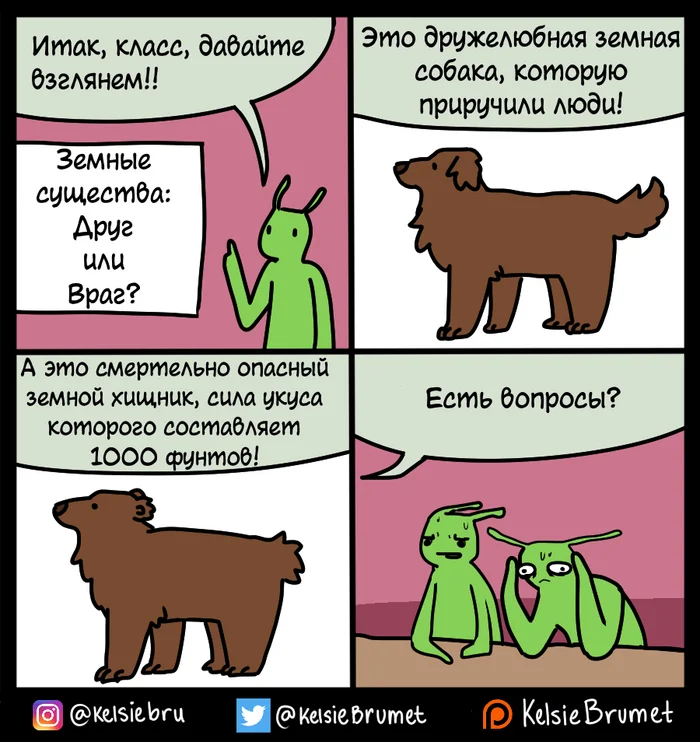 They haven't heard of Batesian mimicry yet - My, Translated by myself, Comics, Humor, Animals, Aliens, Dog, The Bears, Kelsie Brumet