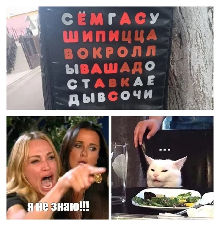 Your Hell - Humor, Two women yell at the cat, Rock ebol, Sushi, Pizza, Food delivery, Memes, Hardened