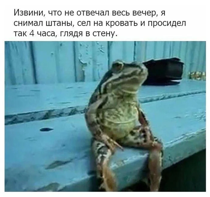 У кого такое бывает? - Юмор, Картинка с текстом, Залипалка, Среда, It Is Wednesday My Dudes, Лягушки