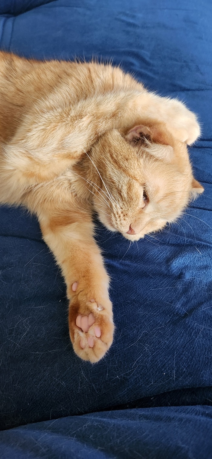 Что-что вы там шепчете?)))