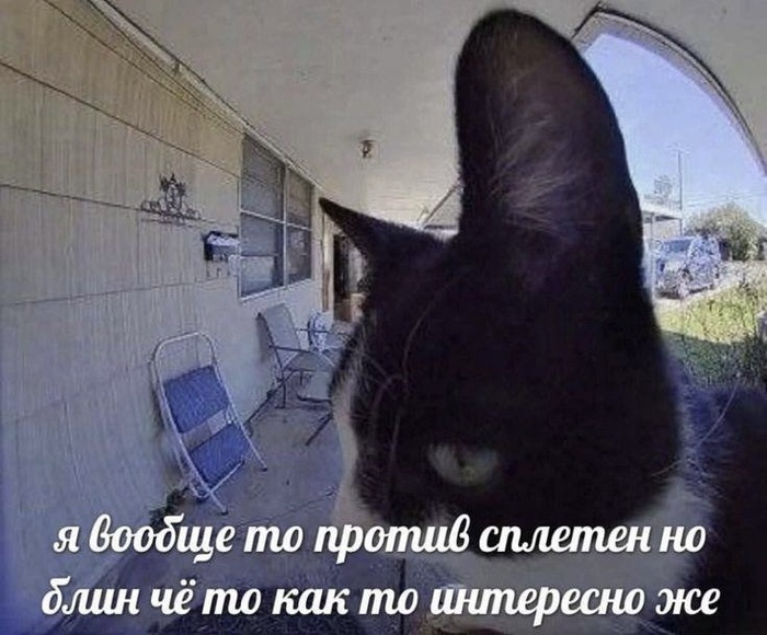  , ,   , , , Telegram ()