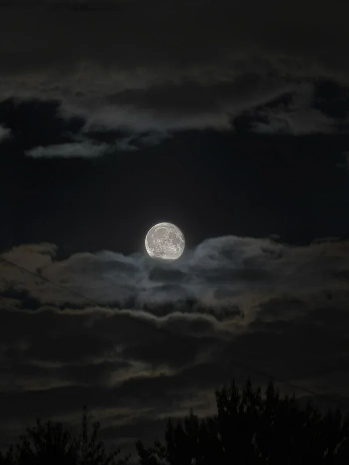 Hobby - My, Mobile photography, Night, Sunset, moon, Longpost