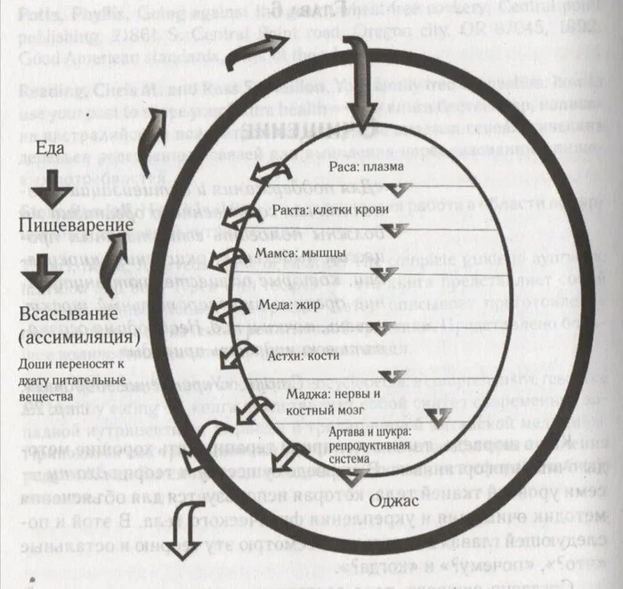 What is Ojas and why abstinence is important - My, Happiness, Health, Sex, Meditation, Longpost