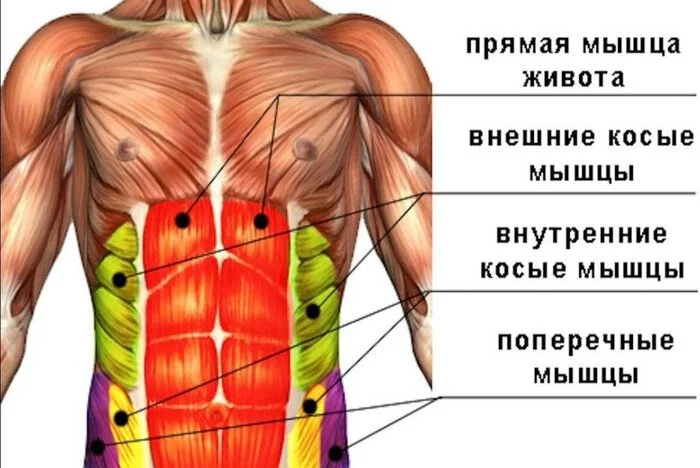 Пресс и как его накачать Ч.1 - Тренировка, Тренажерный зал, ЗОЖ, Спортивные советы, Диета, Бодибилдинг, Упражнения, Спортзал, Фитнес, Правильное питание, Питание, Пресс, Тренер, Похудение, Бодибилдеры, Лишний вес, Длиннопост