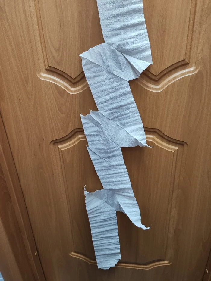 For every cunning ass, there is... cunningly made paper from Naberezhnye Chelny - Toilet paper, Tatarstan, Toilet, Lightning, Zigzag, Humor, Inexplicable