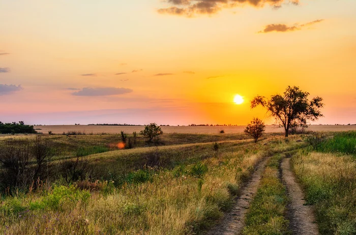 Path to the sun... - My, The photo, Nikon, Nature, Landscape, Sunset, Road, The sun, Clouds, Field