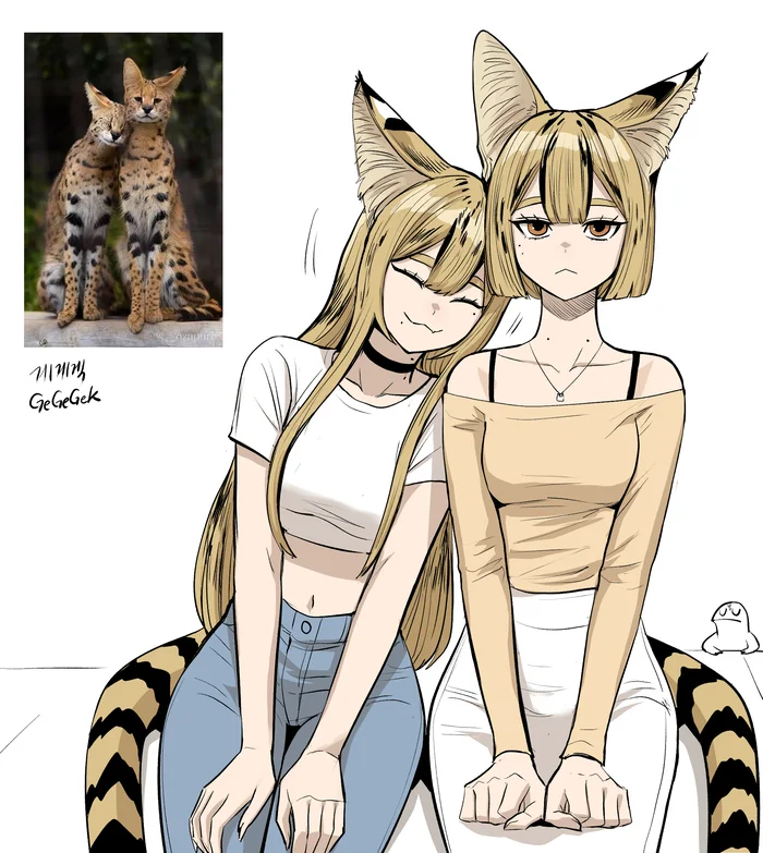 Continuation of the post “Humanization” - Art, Anime, Anime art, Humanization, Animal ears, Gegegekman, Tail, cat, Serval, Reply to post, A wave of posts