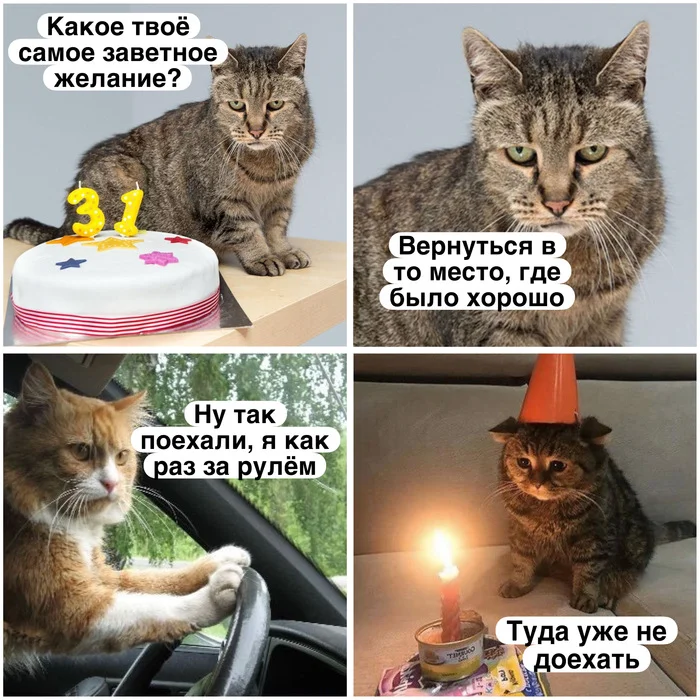 Where was it good... - Picture with text, Memes, Milota, Images, Humor, cat, Kittens, Funny animals, Birthday, Age, Mood, Yandex Zen (link)