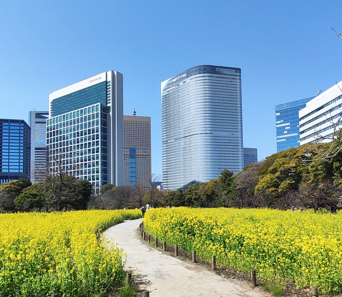     Hama-rikyu, Tokyo , , , , 