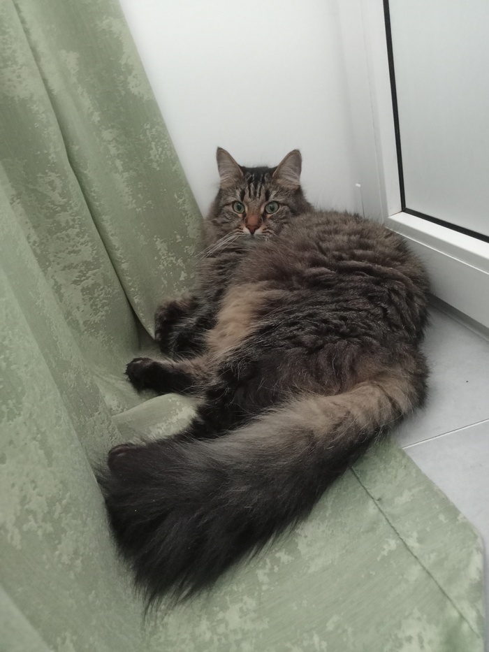 Меховая жопа