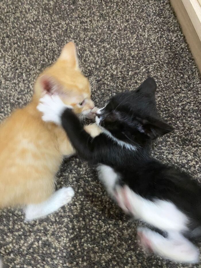    -,  , , ,  ,   