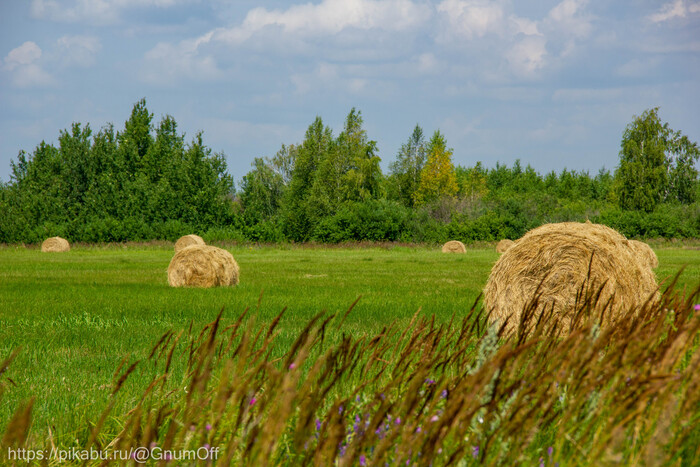 Луговой уют