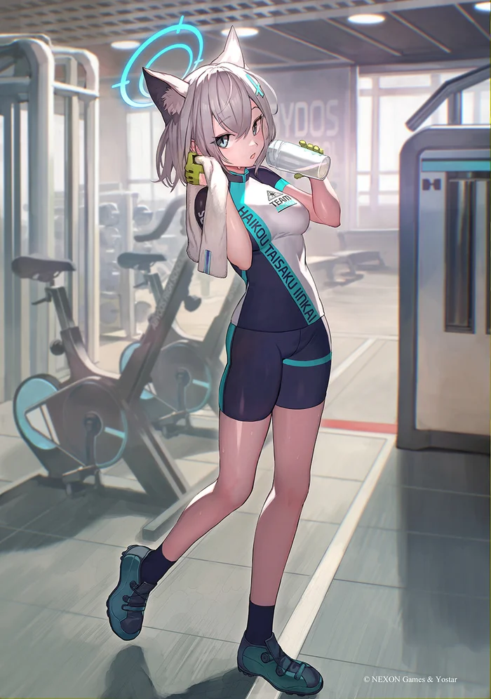 После трени - Аниме, Anime Art, Blue archive, Sunaookami Shiroko, Animal Ears, Gym uniform